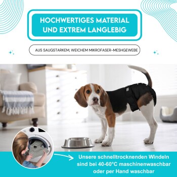 Ein Beagle in einer schwarzen Windel steht neben einer Edelstahlschüssel in einem hellen Raum und zeigt die Haltbarkeit und Pflegehinweise des Produkts.