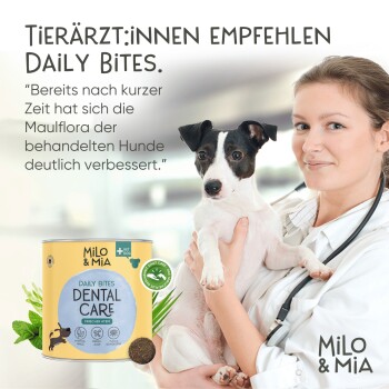 Ein Tierarzt hält einen kleinen schwarz-weißen Hund neben einer gelben Dose "Milo & Mia Daily Bites," die die Zahnpflege für Hunde fördert.