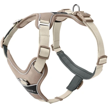 Beige und graue verstellbare Hundegeschirr mit gepolstertem Brust- und Rückenteil, mit einem Metall-D-Ring zur Leinenbefestigung.