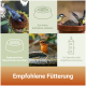 Collage von Gartenvögeln, die Samen fressen und trinken, mit dem deutschen Text 'Empfohlene Fütterung' und Fütterungssymbolen.