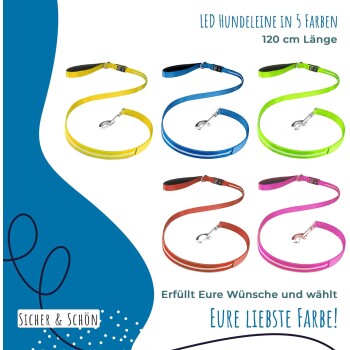 LED-Hundeleinen in fünf Farben (gelb, blau, grün, rot, pink), die auf einem weißen Hintergrund präsentiert werden, mit Text zur Förderung der Farbauswahl.