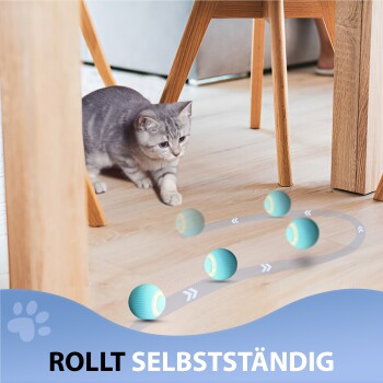 Eine verspielte graue Katze hockt auf einem Holzboden und beobachtet rollende blaue Bälle mit "ROLLT SELBSTÄNDIG" am Boden.