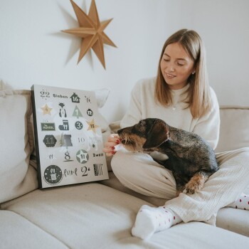 Adventskalender für Hunde 2024