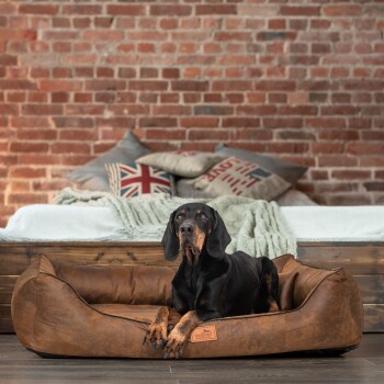 Ein schwarzer Hund ruht auf einem stilvollen braunen Hundebett mit Logo, vor einer rustikalen Ziegelwand und einem gemütlichen Bett im Hintergrund.