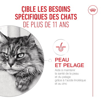 Photo d'un chat à poil long avec les titres français 'PEAU ET PELAGE' et 'CHATS DE PLUS DE 11 ANS'.
