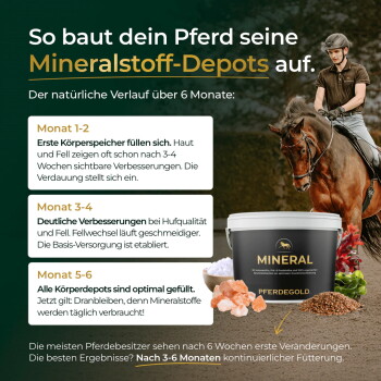 Pferd mit Reiter neben einer Dose mit der Aufschrift 'MINERAL PFERDEGOLD'; deutscher Titel 'So baut dein Pferd seine Mineralstoff-Depots'.