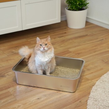 Eine flauschige orange-weiße Katze sitzt in einer silbernen Katzentoilette, die mit Streu gefüllt ist, umgeben von einem gemütlichen Raum mit Holzboden und einer Topfpflanze.