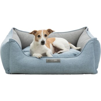 Ein kleiner Hund ruht sich bequem auf einem hellblauen Haustierbett mit grauen Akzenten aus, mit einem Etikett, das "homeEdition" liest.