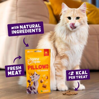 Cream long-haired cat next to yellow Edgard Cooper "PILLOWS" treat bag; labels read "with NATURAL INGREDIENTS", "FRESH MEAT", "<2 KCAL PER TREAT"