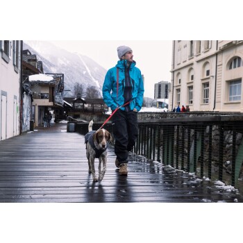 Eine Person in einer blauen Jacke, die einen Hund auf einem verschneiten Holzweg führt, mit Gebäuden und Bergen im Hintergrund.