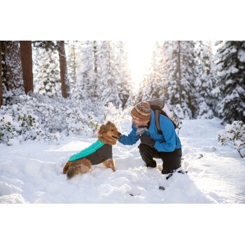 Eine Person in einer blauen Jacke kniet im Schnee und interagiert mit einem Golden Retriever, der einen grün-schwarzen Hundemantel trägt, in einem verschneiten Wald.