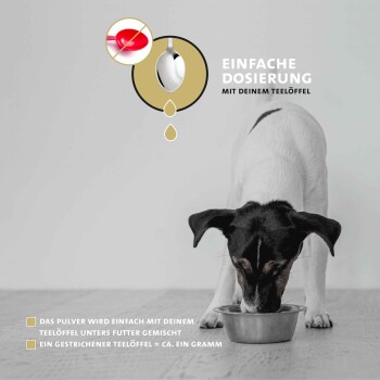 Ein kleiner Hund frisst aus einer Metallschüssel, mit einem deutschen Textüberlagerung über einfaches Dosieren mit einem Teelöffel und Anweisungen zum Mischen von Pulver mit Futter.