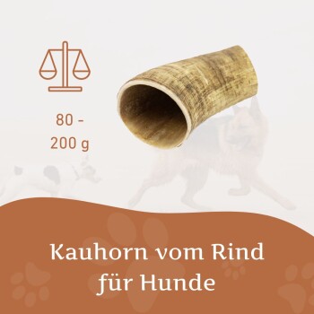 Großer Hundekauhorn, geeignet für Hunde über 25 kg, mit einem Gewicht zwischen 201-350 g.