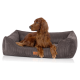 Ein brauner Irish Setter Hund liegt in einem gemütlichen, grauen Cord-Tierbett mit einem Lederschild und schaut aufmerksam zur Seite.