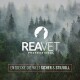 REAVET Professional-Logo mit heulendem Wolf über nebligem immergrünen Wald; Text: 'ENTDECKE DIE WELT SICHER & STILVOLL'