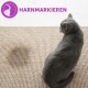 Un chat gris assis sur un tapis beige texturé, avec une ombre visible sur le sol, et le texte 'HARNMARKIEREN' en violet au-dessus.