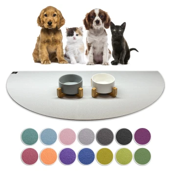 Ein Golden Retriever Welpe, flauschiges Kätzchen, brauner Welpe und schwarze Katze sitzen auf einer hellen Matte mit zwei Schalen und Farbmustern darunter.