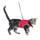 Eine getigerte Katze, die ein rotes Geschirr mit grauem Rand trägt und an einer Leine geht.