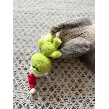 Graue Katze spielt mit einem grünen Grinch-Plüschspielzeug, das einen roten Weihnachtsmannhut trägt, auf einem gemusterten Teppich.