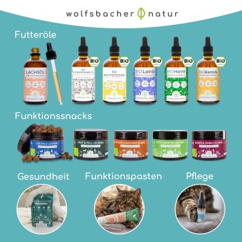 Eine verspielte Katze und ein Hund an einem Bach in einem üppigen Wald, mit dem Text: "Bio-zertifiziert," "Klimaneutral," "100% Natürlich," und "Regional Produziert."