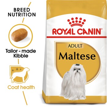 Maltese Adult 1.5 kg 1.5 kg