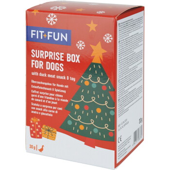 Boîte rouge FIT+FUN « Surprise Box for Dogs » pour les fêtes avec un graphique de sapin de Noël et le texte « with duck meat snack & toy ».