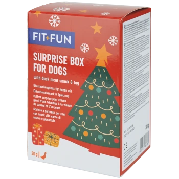 Boîte rouge FIT+FUN « Surprise Box for Dogs » pour les fêtes avec un graphique de sapin de Noël et le texte « with duck meat snack & toy ».
