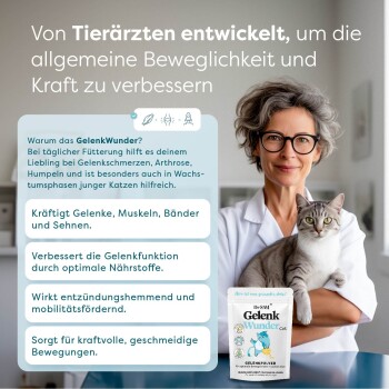 Tierarzt mit einer grauen Katze, der "GelenkWunder" für bessere Gelenkbeweglichkeit und Stärke bei Haustieren bewirbt und wichtige Vorteile hervorhebt.