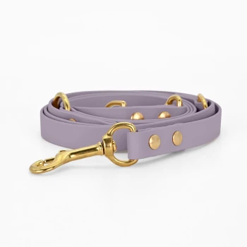 Eine lavendelfarbene Haustierleine mit goldenen Beschlägen und dekorativen Nieten, ordentlich auf einem weißen Hintergrund aufgerollt.