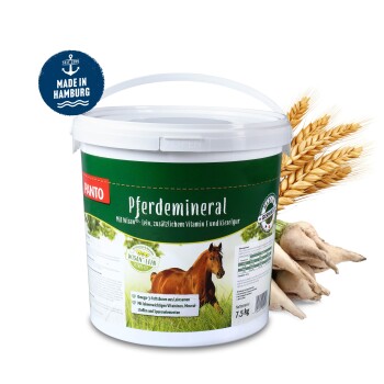 PFERDEMINERAL MIT WISAN-LEIN 7,5kg