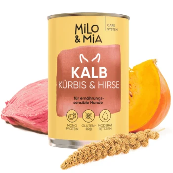 Dosen-Hundefutter "Milo & Mia" für Senioren, mit Kalbfleisch, Kürbis und Hirse. Vorteile: Immunstärkung, Verdauungsgesundheit, Haut- und Fellunterstützung.