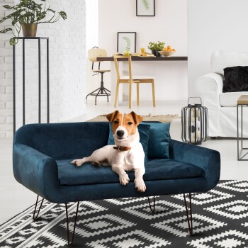 Ein entspannter Hund, der auf einem stilvollen blauen Haustiersofa in einem modernen Wohnzimmer liegt, mit einem Essbereich, der im Hintergrund sichtbar ist.