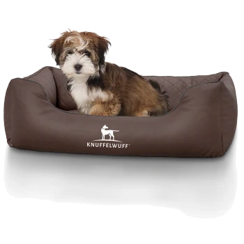 Kleiner, flauschiger braun-weißer Welpe sitzt in einem braunen Hundebett mit weißem 'KNUFFELWUFF'-Logo.