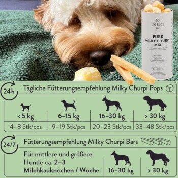 Ein flauschiger Hund auf einer grünen Decke schaut auf Pujja Dog Pure Milky Churpi Mix und Käsesnacks, mit Fütterungshinweisen auf Deutsch.