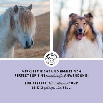 Ein weißes Pferd und ein Collie stehen nebeneinander. Text: "Klebt nicht, ideal für langanhaltende Nutzung. Für besseres Kämmen und glänzendes Fell."