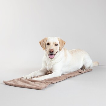 Ein gelber Labrador Retriever liegt auf einer weichen braunen Matte vor einem hellgrauen Hintergrund.