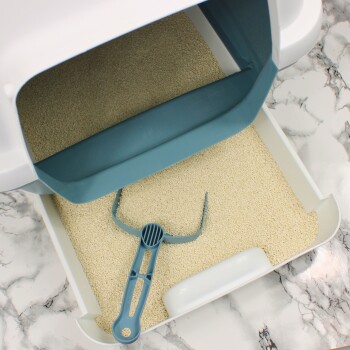 Eine saubere Katzenstreu-Box mit einer hellen Streu und einer blauen Schaufel, die darin ruht, vor einem Marmorhintergrund.