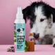 Eine türkisfarbene und rosa "DENTALSPRAY"-Flasche, ein Glasgefäß, ein Minzzweig und ein neugieriger schwarz-weißer Hund im Hintergrund.