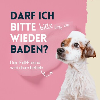 Ein süßer Hund mit einem seifigen Kopf schaut nach oben, begleitet von dem Text 'Darf ich bitte wieder baden?' und 'Dein Fell-Freund wird drum betteln.'