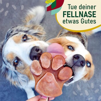 Eine Nahaufnahme eines Hundes, der begierig einen pfotenförmigen Leckerbissen leckt, der von einer Person gehalten wird. Der Text lautet: 'Tue deiner FELLNASE etwas Gutes.'