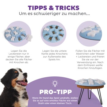 Ein verspielter Hund neben einem blauen interaktiven Leckerli-Puzzle mit weißen knochenförmigen Abdeckungen, mit Tipps auf Deutsch zur Verwendung des Spielzeugs.