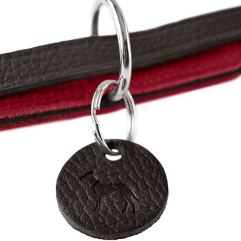 Nahaufnahme eines Hundehalsbands mit einem schwarzen Lederschild mit Hundesilhouette, das an einem rot-schwarzen Riemen befestigt ist.