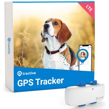 Maxi Zoo lance son tracker GPS pour chien sans abonnement