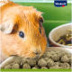 Eine Nahaufnahme eines braunen Meerschweinchens neben einer Schüssel mit dunkelgrünen Pellets, mit einem verschwommenen Hintergrund, der eine andere Schüssel mit Mischfutter zeigt.