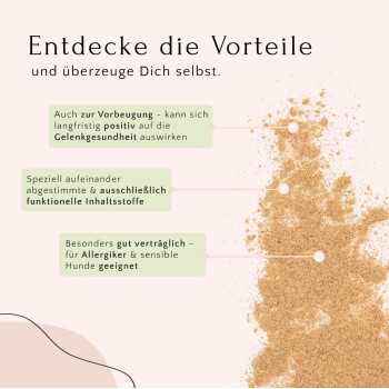 Bild, das die Vorteile von Haustierergänzungen bewirbt, mit Schwerpunkt auf Gelenkgesundheit, funktionalen Zutaten und Eignung für empfindliche Hunde.