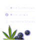 Text auf Deutsch auf lila Hintergrund mit den Worten „Ohne Zuckerzusatz“, „Ohne Laktose“ und „Natürliche Zutaten“ sowie Bildern eines Cannabisblatts und Blaubeeren.