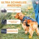 Ein Hund in einem stilvollen Geschirr steht auf Gras mit Herbstblättern, hebt Merkmale hervor: Schnellverschlussclip, eingenähtes X-Design, wasserdichter Reißverschluss.