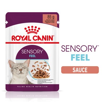 Sensory Feel en sauce pour chats exigeants 12x85 g