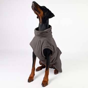 Ein Dobermann trägt einen gemütlichen, grauen Fleece-Hundemantel, sitzt aufrecht und schaut nach oben vor einem schlichten weißen Hintergrund.