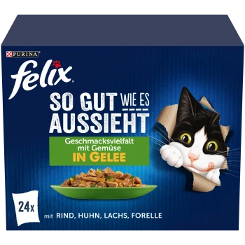 Felix Katzenfutterbox mit einer schwarz-weißen Katze, deutschem Text und einem Teller mit Fleischstücken in Gelee.